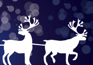 С Новым годом! С Новым годом!